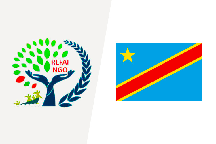 8 to 11 July – The official visit of the Health Ministerial delegation of DRC to the office  REFAI-NGO in Brussels