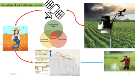 Artificial Intelligence Roles in Agriculture and Food Security